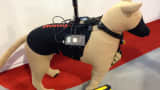 Honeywell develops K9 C2SA, a surveillance dog prototype.